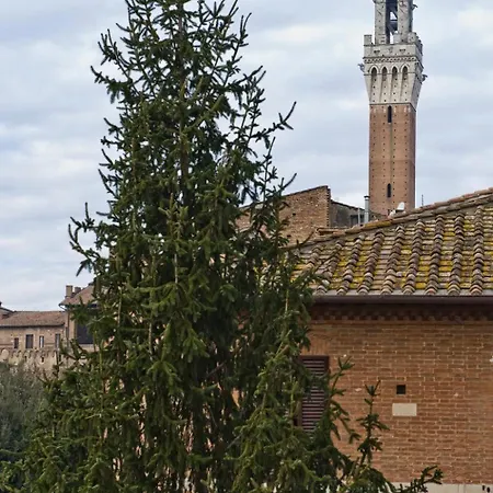 Guest house Vicolo Dell'oro 3*