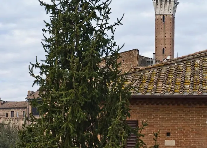 招待所 Vicolo Dell'oro 3*