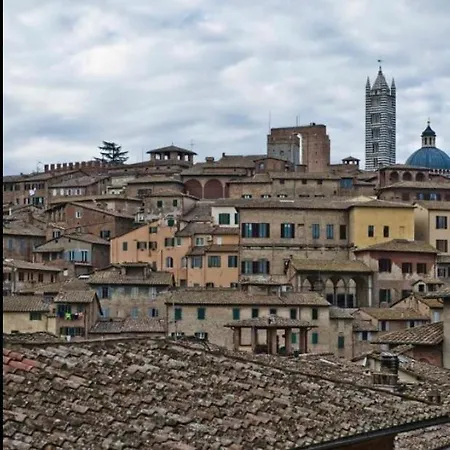 Vicolo Dell'oro *